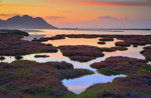 Las Salinas de Cabo de Gata