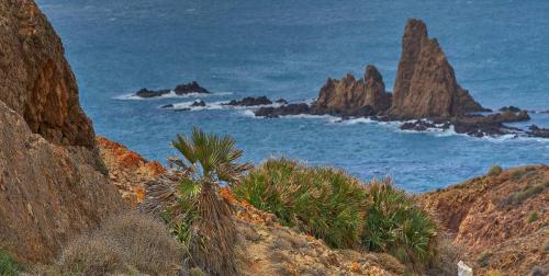 Arrecife de Las Sirenas